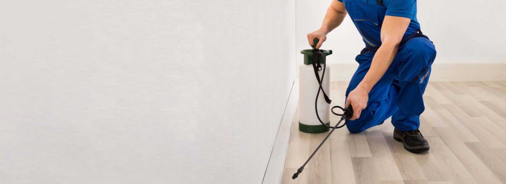 Antignat Best Pest Control Services